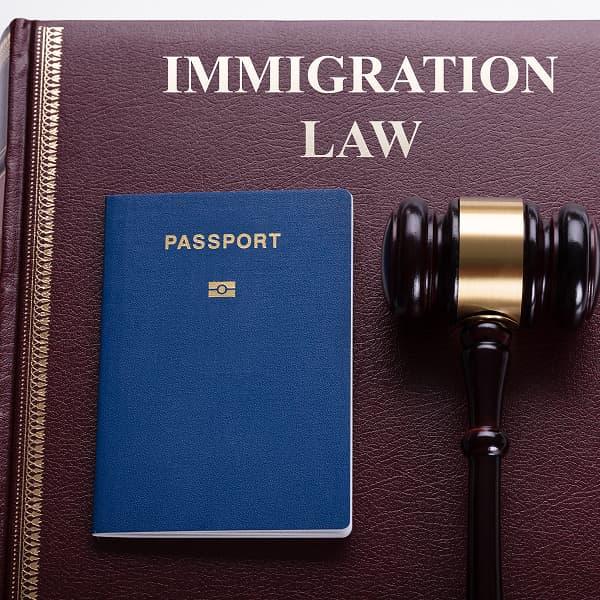 Abogada para apelaciones migratorias en Estados Unidos